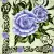 Serwetka do decoupage fioletowe róże na zielonym tle 33x33 IHR Unikat